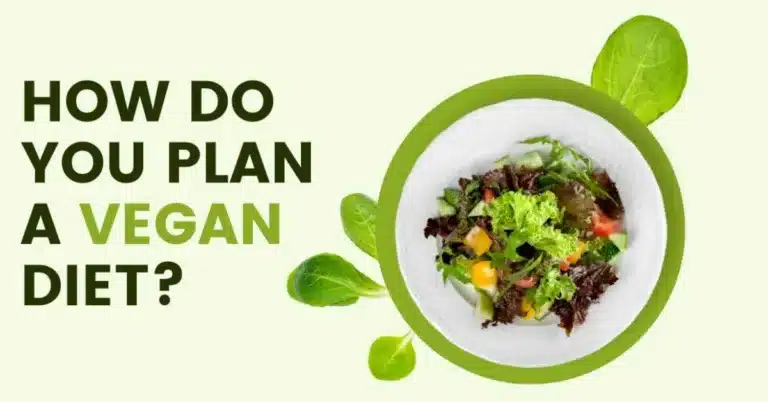 How Do You Plan a Vegan Diet